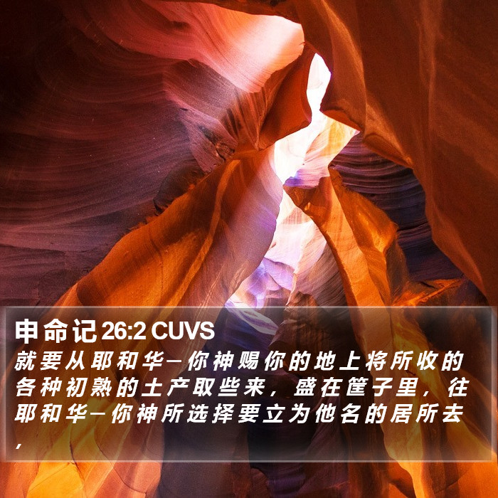 申 命 记 26:2 CUVS Bible Study