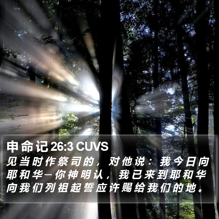 申 命 记 26:3 CUVS Bible Study