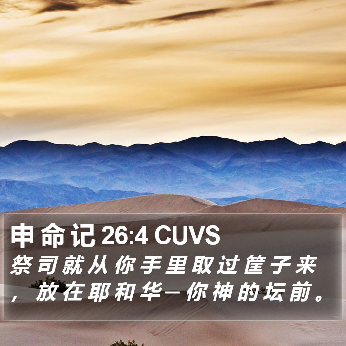 申 命 记 26:4 CUVS Bible Study