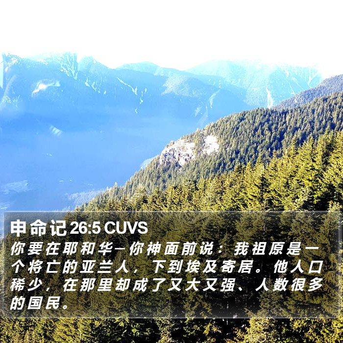 申 命 记 26:5 CUVS Bible Study