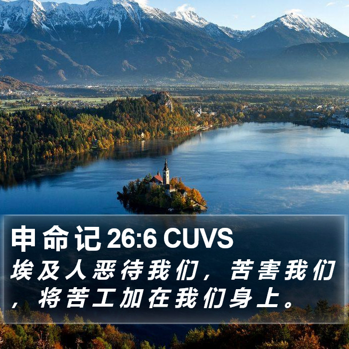 申 命 记 26:6 CUVS Bible Study