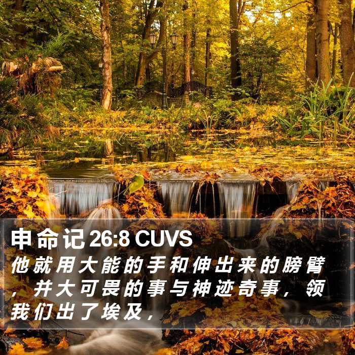 申 命 记 26:8 CUVS Bible Study