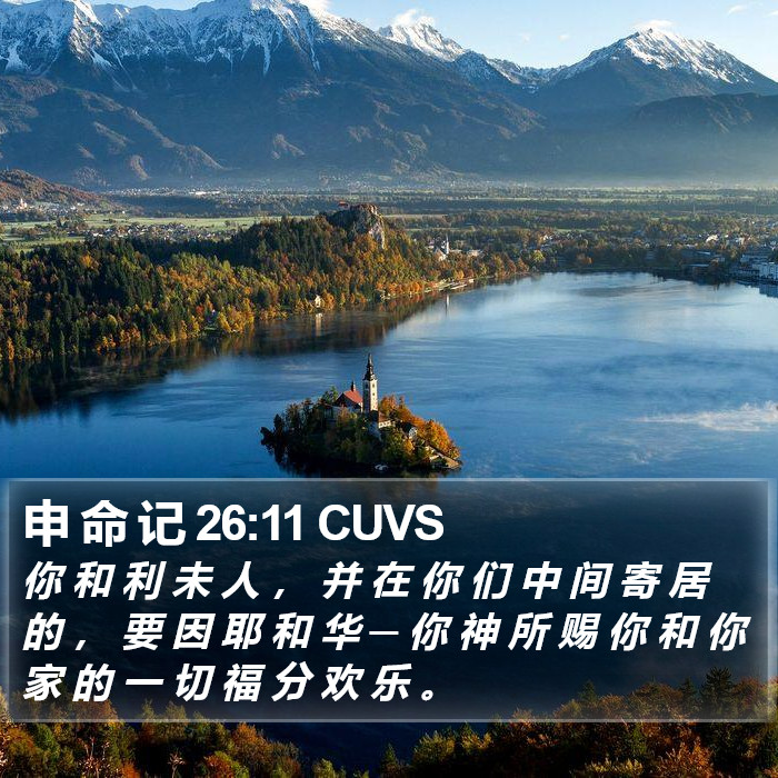 申 命 记 26:11 CUVS Bible Study