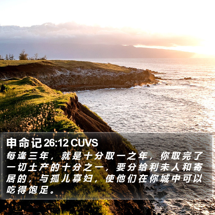 申 命 记 26:12 CUVS Bible Study