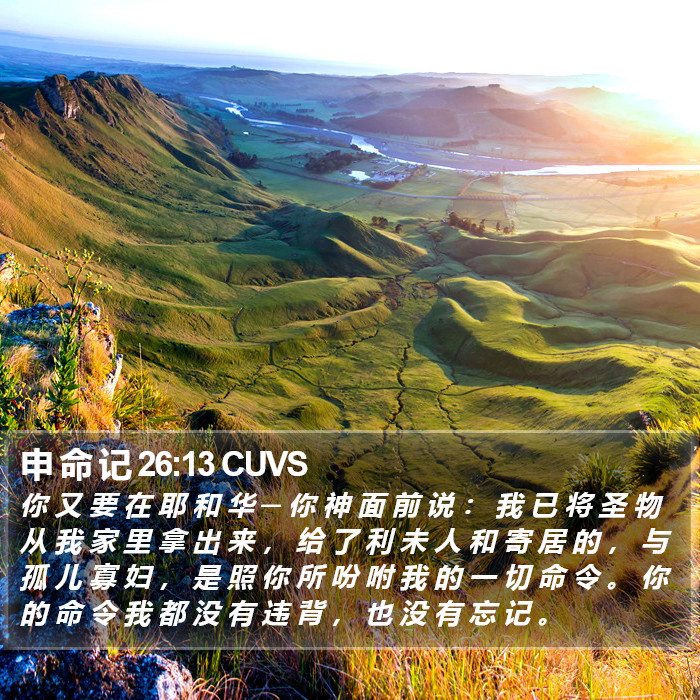 申 命 记 26:13 CUVS Bible Study