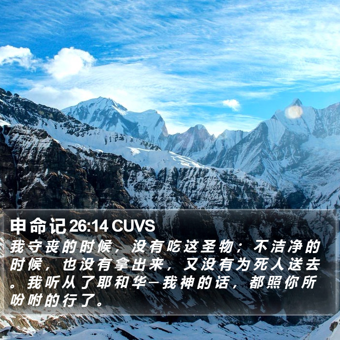 申 命 记 26:14 CUVS Bible Study