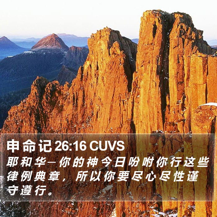 申 命 记 26:16 CUVS Bible Study