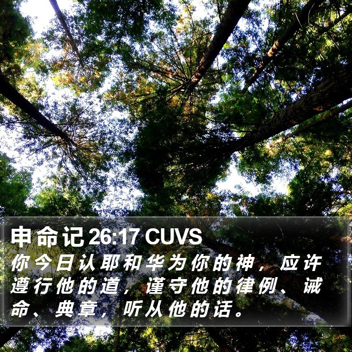 申 命 记 26:17 CUVS Bible Study