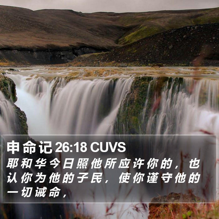 申 命 记 26:18 CUVS Bible Study