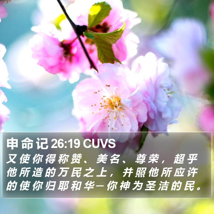 申 命 记 26:19 CUVS Bible Study