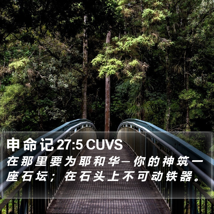 申 命 记 27:5 CUVS Bible Study