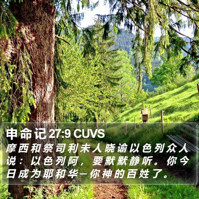 申 命 记 27:9 CUVS Bible Study