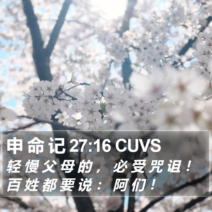 申 命 记 27:16 CUVS Bible Study