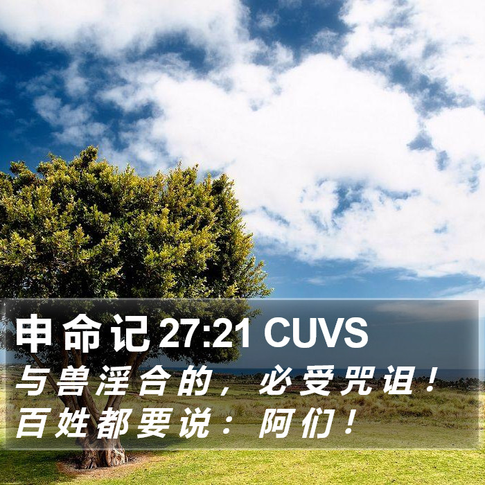 申 命 记 27:21 CUVS Bible Study