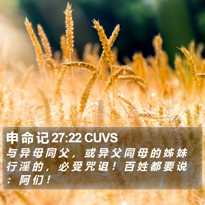 申 命 记 27:22 CUVS Bible Study