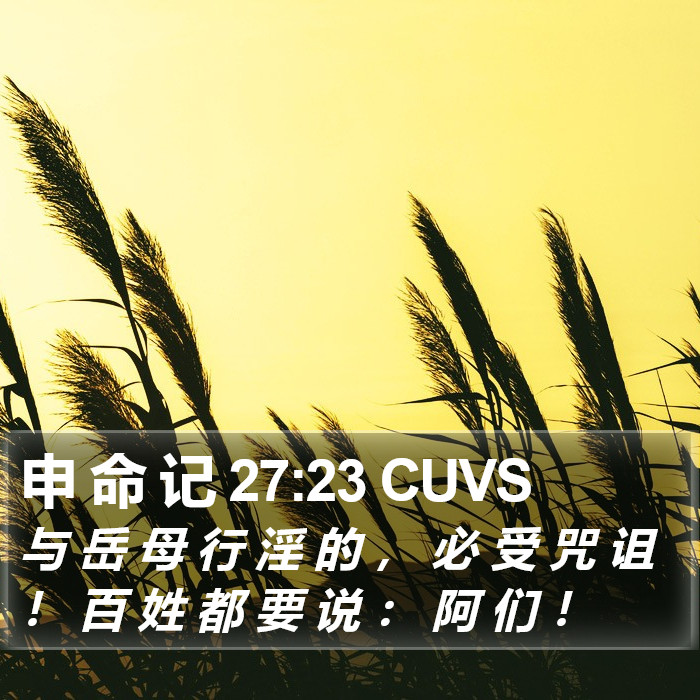 申 命 记 27:23 CUVS Bible Study