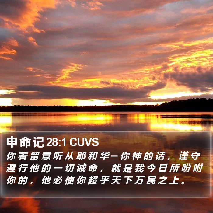 申 命 记 28:1 CUVS Bible Study