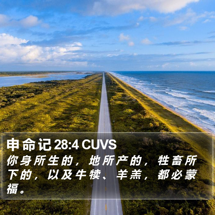 申 命 记 28:4 CUVS Bible Study