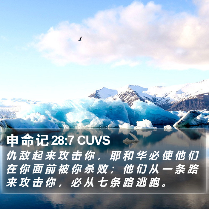 申 命 记 28:7 CUVS Bible Study