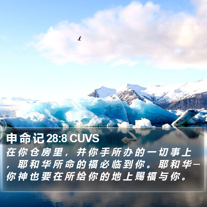 申 命 记 28:8 CUVS Bible Study