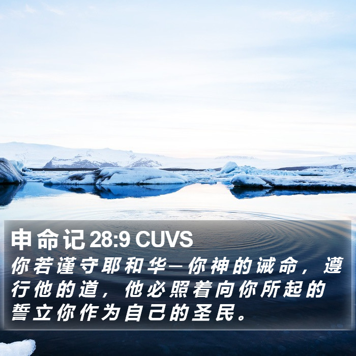 申 命 记 28:9 CUVS Bible Study