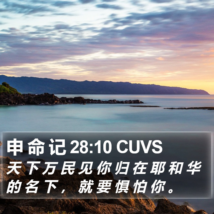 申 命 记 28:10 CUVS Bible Study