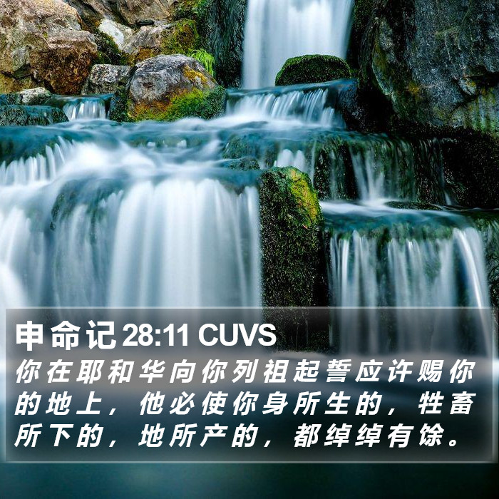 申 命 记 28:11 CUVS Bible Study