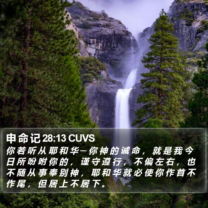 申 命 记 28:13 CUVS Bible Study