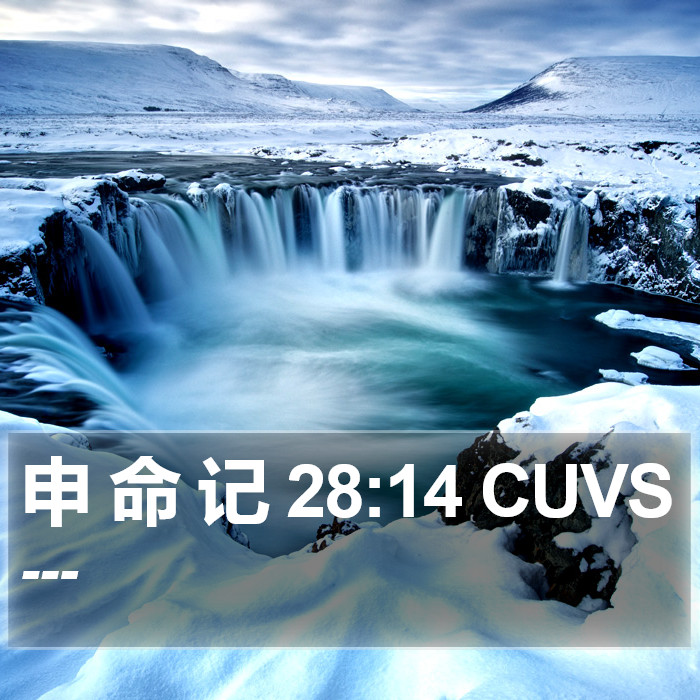 申 命 记 28:14 CUVS Bible Study