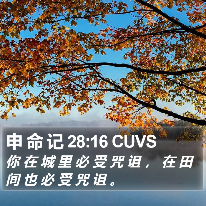 申 命 记 28:16 CUVS Bible Study