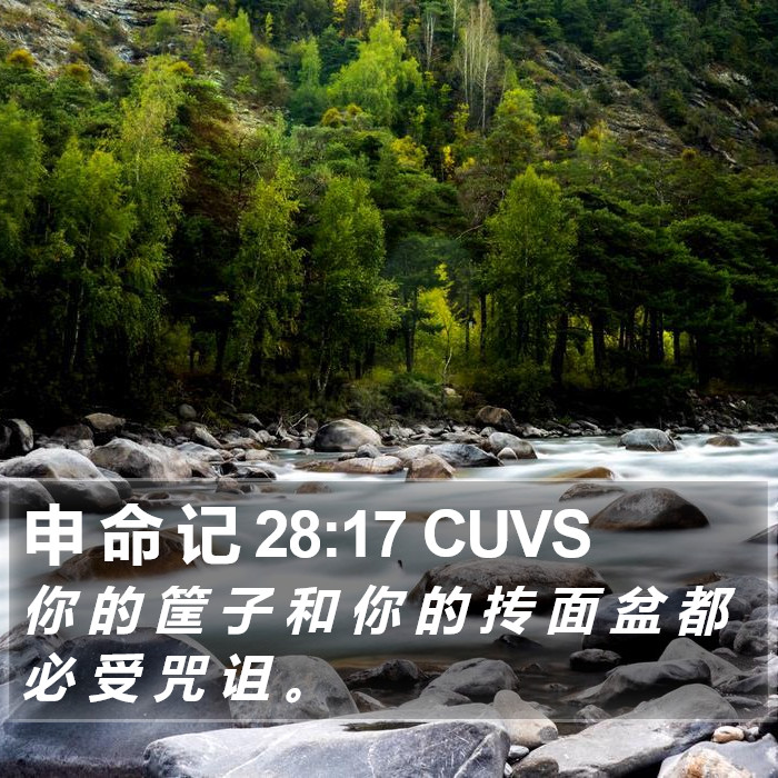 申 命 记 28:17 CUVS Bible Study