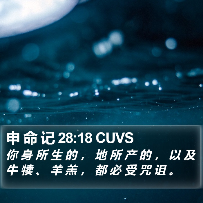 申 命 记 28:18 CUVS Bible Study