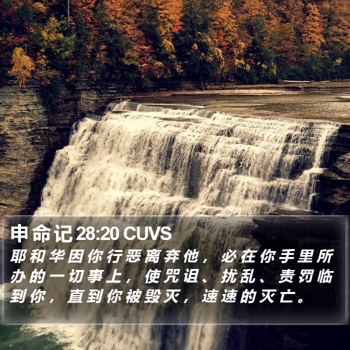 申 命 记 28:20 CUVS Bible Study