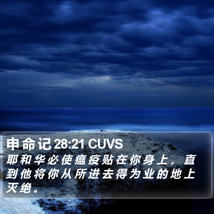 申 命 记 28:21 CUVS Bible Study