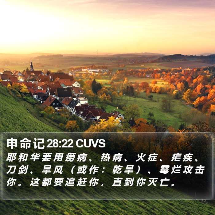 申 命 记 28:22 CUVS Bible Study