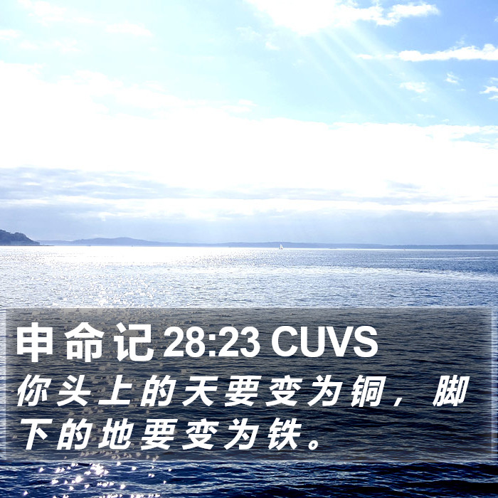 申 命 记 28:23 CUVS Bible Study