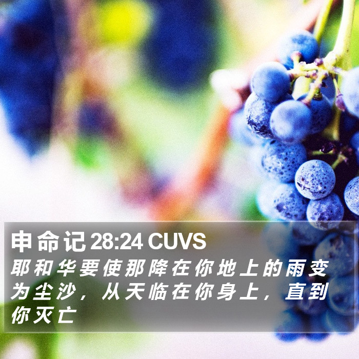 申 命 记 28:24 CUVS Bible Study