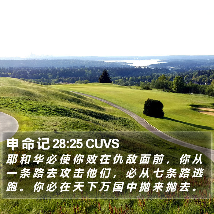 申 命 记 28:25 CUVS Bible Study