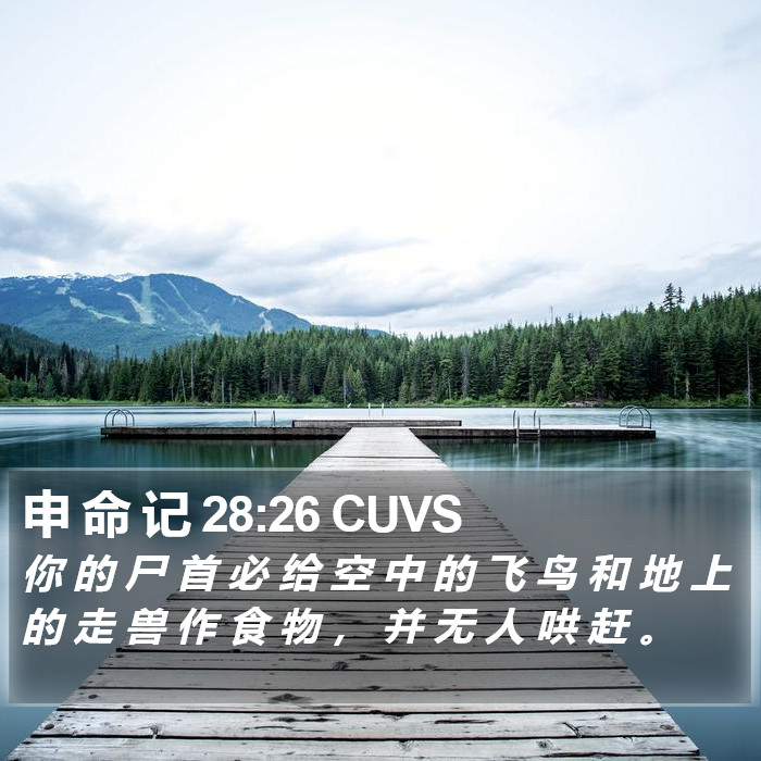 申 命 记 28:26 CUVS Bible Study