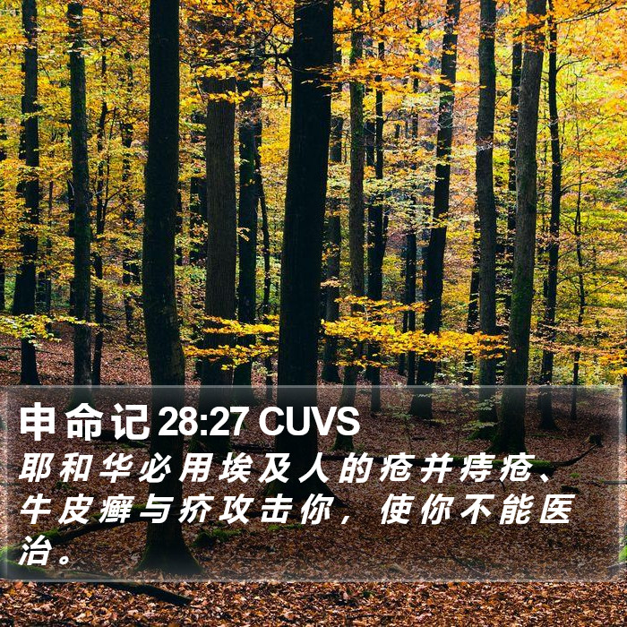 申 命 记 28:27 CUVS Bible Study