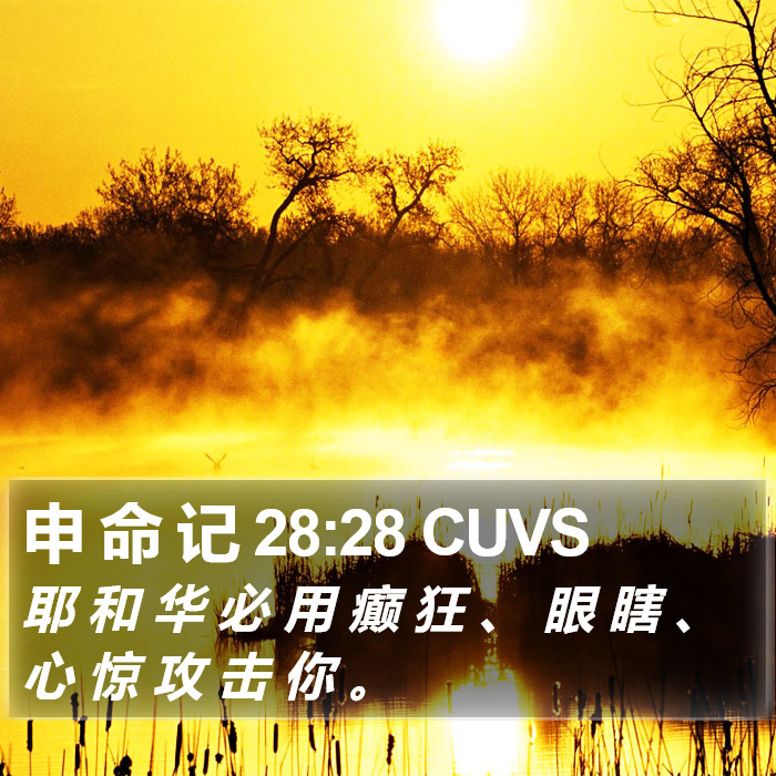 申 命 记 28:28 CUVS Bible Study