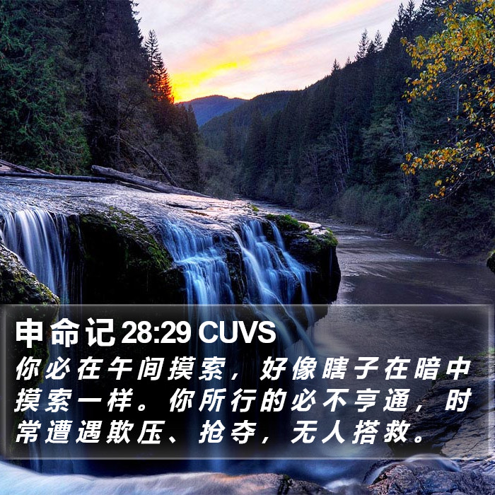 申 命 记 28:29 CUVS Bible Study