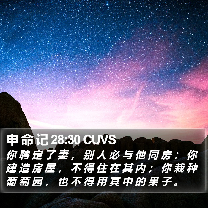 申 命 记 28:30 CUVS Bible Study