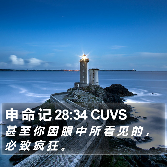 申 命 记 28:34 CUVS Bible Study