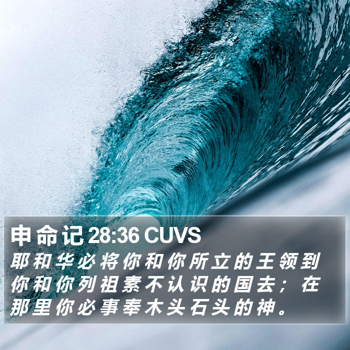 申 命 记 28:36 CUVS Bible Study