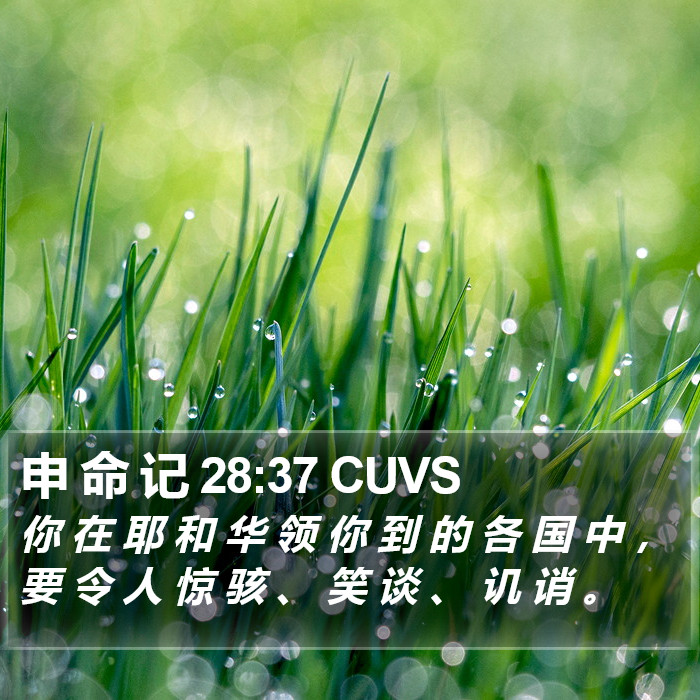 申 命 记 28:37 CUVS Bible Study