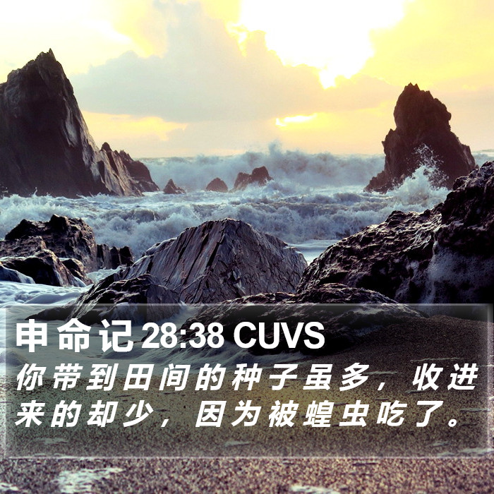 申 命 记 28:38 CUVS Bible Study