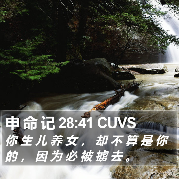 申 命 记 28:41 CUVS Bible Study