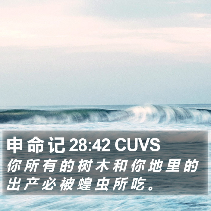 申 命 记 28:42 CUVS Bible Study