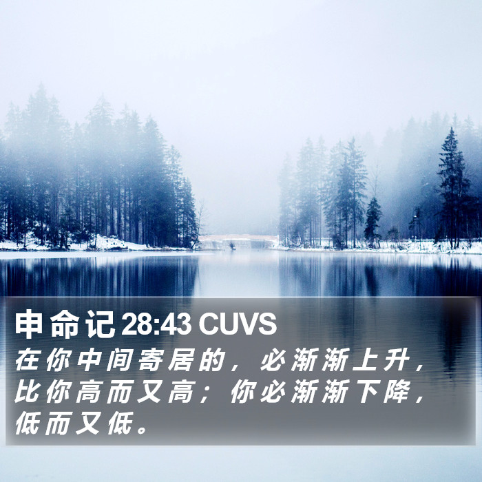 申 命 记 28:43 CUVS Bible Study